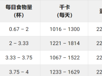澳大利亚牧羊犬每天要吃多少狗粮?(澳洲牧羊犬的喂食要点)