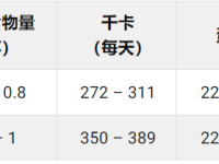 比熊犬喂一天的食量是多少?(比熊犬食量对照表)