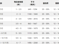 成年杜宾犬每天要吃多少狗粮?(杜宾犬的食量及喂养方法)