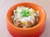 狗狗能吃什么水果蔬菜?(狗狗除了狗粮还能吃什么主食)