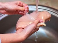 水煮鸡肉对狗狗有什么好处?(喂狗狗的鸡肉怎么做有营养价值)