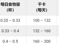 约克夏犬每天需要吃多少食物?(约克夏犬各阶段的喂食量标准)