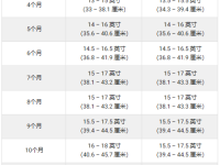 沙皮犬成年后能长到多大?(沙皮犬平均身高和体重的对照表)