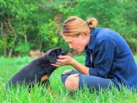 盘点有关罗威纳犬最佳的10个救援领养地点