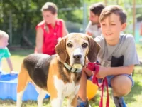 您准备好收养了吗?领养狗前必问自己的6个问题!