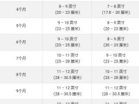 成年巴吉度猎犬有多大?(巴吉度猎犬平均身高和体重的对照表)