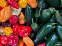 狗狗可以吃墨西哥胡椒吗?墨西哥胡椒对狗什么害处?