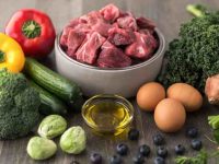 澳大利亚牧羊犬能吃和不能吃食物清单