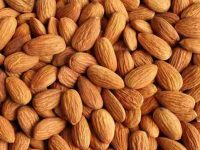 狗狗可以吃坚果吗?有哪些营养价值?