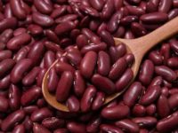 狗狗可以吃豆类吗?每天能吃多少?