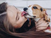 狗狗的嘴比人的嘴干净吗?看完你就明白了!