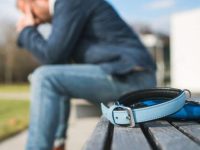 狗狗走丢了怎么办?避免狗狗走失的6种方法