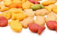 狗狗可以吃金鱼饼干吗?有什么好处和坏处