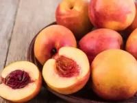 狗狗能吃油桃吗?油桃有什么好处和坏处