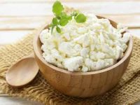 狗狗可以吃白软干酪吗?白软干酪有哪些好处和坏处