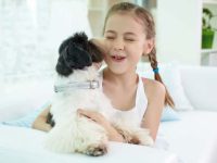 西施犬适合儿童和婴儿吗?(孩子和西施犬如何和谐有爱地相处?)