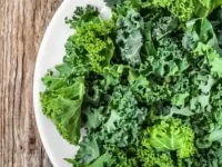 狗狗可以吃羽衣甘蓝吗?有什么好处和营养