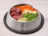 狗狗可以吃豌豆吗?好处和潜在风险有哪些?