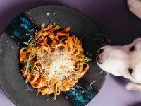 狗狗可以吃意大利面吗?意大利面有什么好处和坏处