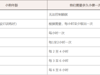 狗狗可以憋尿多久?狗狗几小时需要小便一次