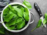 狗狗可以吃菠菜吗?有什好处和潜在风险