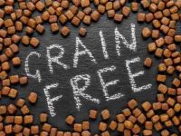 无谷物狗粮和心脏健康之间有联系吗?无谷物饮食有好处吗?