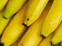 狗狗吃了一根香蕉皮怎么办,会生病拉肚子吗?