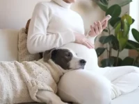 为什么女人和狗有着如此紧密的联系?