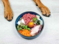 喂狗狗生肉的好处有哪些?生肉喂养方法指南!