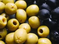 狗狗可以吃橄榄吗?橄榄有毒吗?