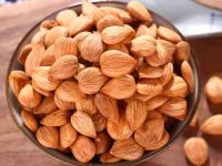 狗狗可以吃杏仁吗?狗狗会因为杏仁而中毒吗?