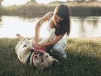 狗狗怕痒吗?为什么你挠它的肚子时,它会踢人?