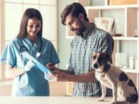 狗狗多长时间去一次宠物医院?10个迹象表明狗狗需要去看兽医!