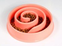 狗狗吃得太快并呕吐该怎么办?学会8个小技巧让你轻松应对!