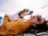 狗狗总是喜欢舔人是什么原因?