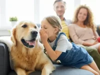 狗狗能听懂人类说的话吗?多年困惑终于解开了!