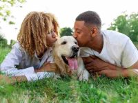 狗狗怀孕怎么测试最准确?狗狗妊娠测试5种科学方法!