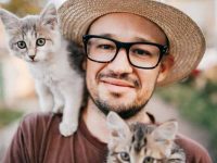 猫绝育和去势有什么区别?猫咪最佳绝育年龄和护理要点全解析