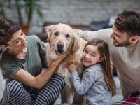 如何选择哪种犬种最适合你?需要考虑的4个关键因素!