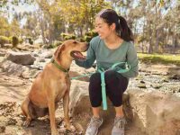 盘点10种让你的狗狗在户外安全的技巧