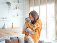 猫临终前有什么表现?13迹象表明你的猫咪可能濒临死亡