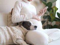 为什么女人和狗几乎是灵魂伴侣?女性养狗的6大好处!