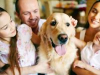 让狗狗真正成为家庭友好型宠物的四大特质!