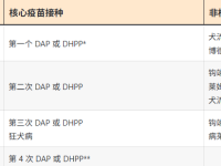 给小狗接种疫苗有风险吗?小狗疫苗接种时间表!