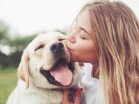 狗狗口臭很严重怎么办?狗狗口臭的12个常见原因!