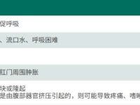 狗狗会得疝气吗?狗狗疝气的症状和体征