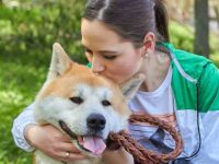 狗狗牙龈瘤是什么?症状、成因及治疗方法