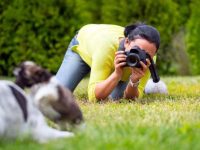 宠物摄影小妙招及实用相机,7个技巧轻松拍出萌宠美照!