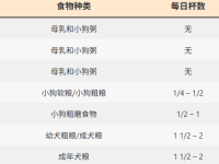 比格犬的饮食注意事项有哪些?比格犬喂养图表