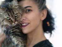 老年猫咪呵护指南:帮助老年猫优雅地度过老年的5个技巧